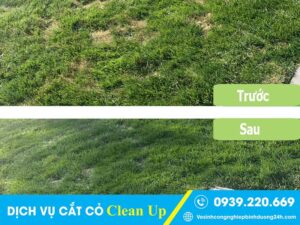 Dịch vụ cắt cỏ tại Bình Thạnh giá rẻ, sạch đẹp