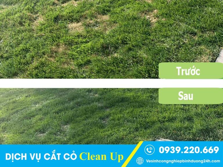 Dịch vụ cắt cỏ tại Bình Thạnh giá rẻ, sạch đẹp