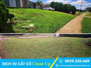 Dịch vụ cắt cỏ tại Quận Hóc Môn giá rẻ, cam kết sạch đẹp, gọn gàng