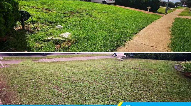Dịch vụ cắt cỏ tại Quận Hóc Môn giá rẻ, cam kết sạch đẹp, gọn gàng