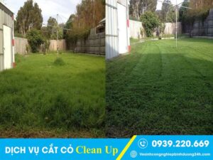 Dịch vụ cắt cỏ tại Nhà Bè sạch đẹp, giá rẻ