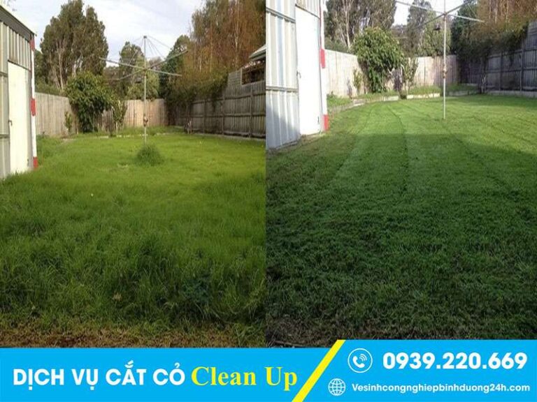 Dịch vụ cắt cỏ tại Nhà Bè sạch đẹp, giá rẻ