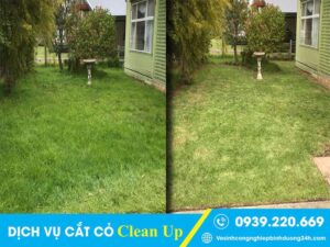 Clean Up - Dịch vụ cắt cỏ tại Quận 1 uy tín, giá tốt nhất