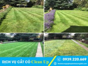 Dịch vụ cắt cỏ tại Quận 10 sạch đẹp, giá phải chăng