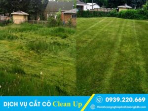 Trước và sau khi thuê dịch vụ cắt cỏ Quận 2 của Clean Up