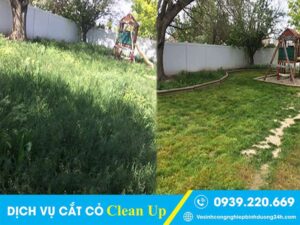 Clean Up - Dịch vụ cắt cỏ tại Quận 3 đáng đồng tiền bát gạo