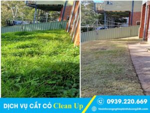 Trước và sau khi thuê thợ cắt cỏ tại Quận 4 của Clean Up