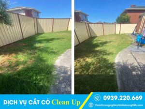 Trước và sau khi thuê cắt cỏ tại Quận 6