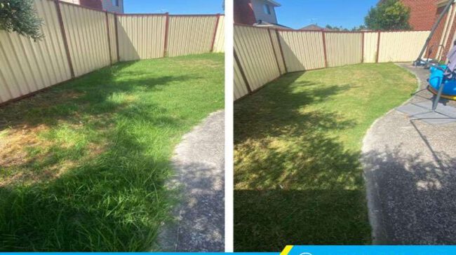 Trước và sau khi thuê cắt cỏ tại Quận 6