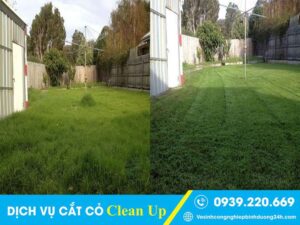 Dịch vụ cắt cỏ tại Quận 9 cam kết chất lượng, thợ cẩn thận