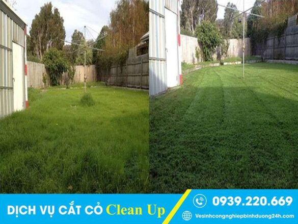Dịch vụ cắt cỏ tại Quận 9 cam kết chất lượng, thợ cẩn thận