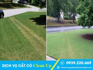 Dịch vụ cắt cỏ tại Thủ Đức giá rẻ, cam kết chất lượng, tiến độ