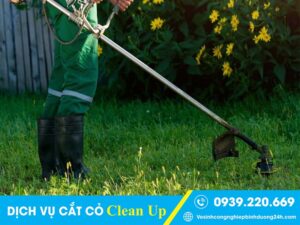 Quy trình triển khai dịch vụ cắt cỏ Thuận An khoa học, bài bản, rõ ràng