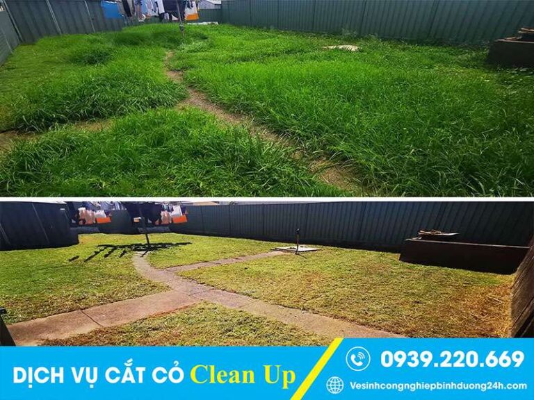 Dịch vụ cắt cỏ tại Trảng Bom sạch đẹp, giá rẻ