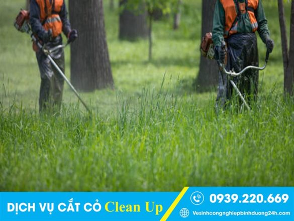 Dịch vụ cắt cỏ, chăm sóc cảnh quan tại Bắc Tân Uyên