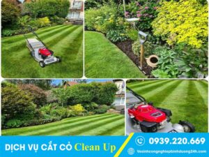 Thuê dịch vụ cắt cỏ tại Long Thành chuyên nghiệp, giá rẻ