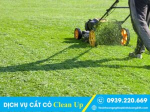 Clean Up - Dịch vụ cắt cỏ tại Hồ Chí Minh đáng đồng tiền bát gạo