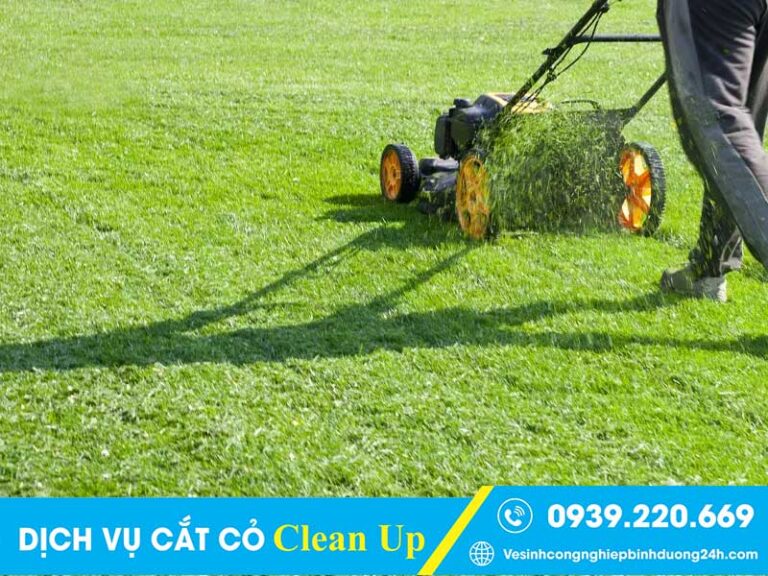 Clean Up - Dịch vụ cắt cỏ tại Hồ Chí Minh đáng đồng tiền bát gạo