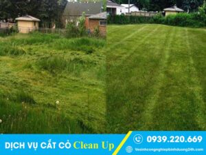 Dịch vụ cắt cỏ tại Quận 12 giá rẻ, cam kết sạch đẹp