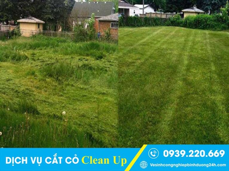 Dịch vụ cắt cỏ tại Quận 12 giá rẻ, cam kết sạch đẹp