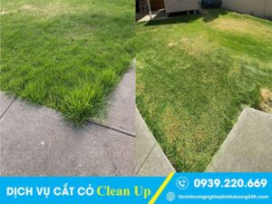 Dịch vụ chăm sóc cảnh quan tại Quận 8 giá rẻ