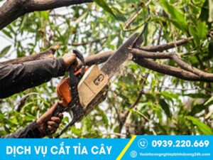 Dịch vụ cưa cây tại Bình Tân - Cắt Tỉa Cây Xanh